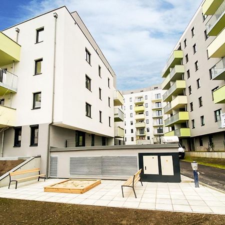 Green & Cozy Apartment - 15 Min To City Center Wien Exteriör bild