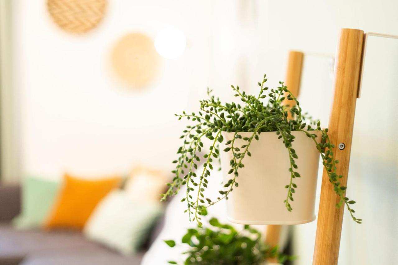 Green & Cozy Apartment - 15 Min To City Center Wien Exteriör bild